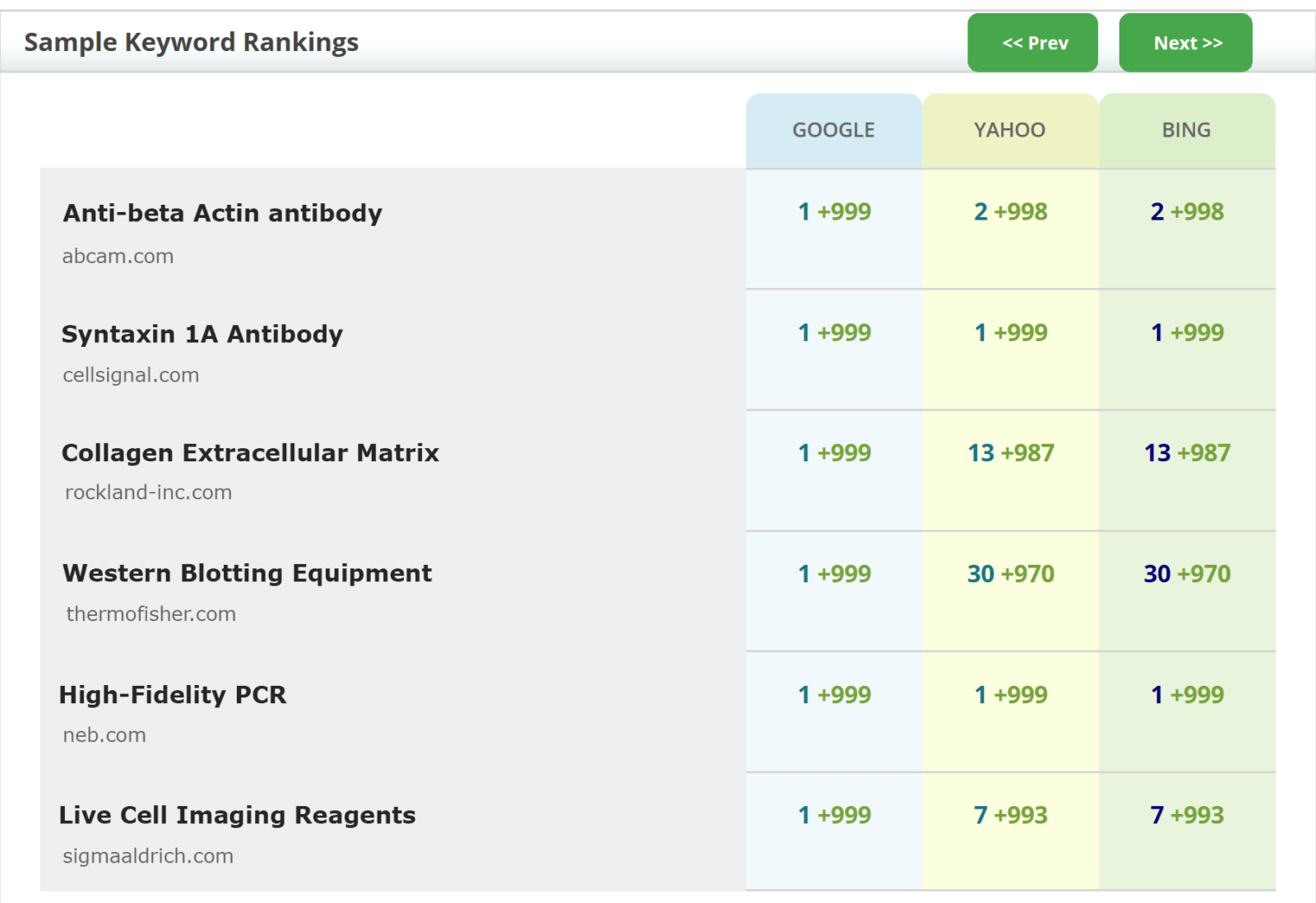 Sample of a keyword rankings report