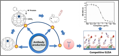 Study on the antigenicity of metallofullerenol: antibody production, characterization, and its enzyme immunoassay application.