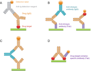 Recombinant Anti-idiotypic Antibodies in Ligand Binding Assays for Antibody Drug Development.